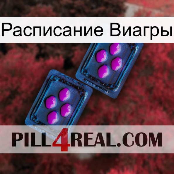 Расписание Виагры 03.jpg